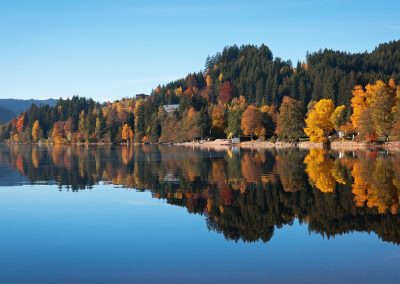 Autumn,Forest,Reflected,In,The,Surface,Of,The,Lake,Titisee,
